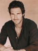 ed quinn image