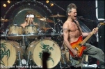 eddie van halen picture eddie van halen picture