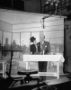edgar bergen img
