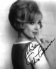 edie adams img