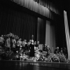 edith piaf pic