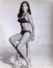 edy williams photo2
