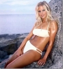 elin nordegren image
