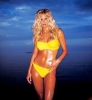 elin nordegren photo1