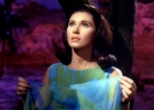 elinor donahue pic