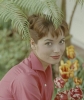 elsa martinelli image2