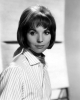 elsa martinelli image3