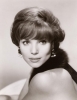 elsa martinelli image4