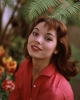 elsa martinelli img