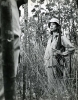 elsa martinelli photo