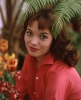elsa martinelli photo1