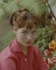 elsa martinelli picture2