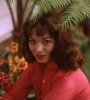elsa martinelli picture4