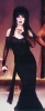 elvira image1