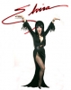 elvira image3