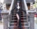 elvira image4