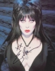 elvira photo2