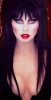 elvira picture
