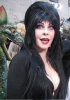 elvira picture2