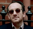 elvis costello image4