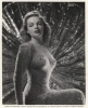 elyse knox image4