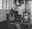 ernest hemingway photo