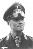 erwin rommel picture