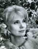 eva marie saint picture1
