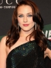 evan wood image2