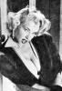 eve meyer picture1
