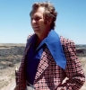 evel knievel image