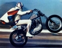 evel knievel picture3