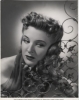 evelyn ankers image3