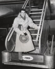 farley granger picture