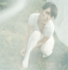 feist image4