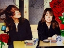 feist photo2