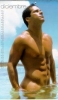 fernando carrillo image3