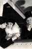 fifi d orsay image4