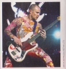 flea image4
