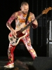 flea pic1