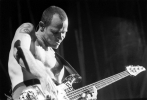 flea picture2
