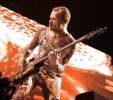flea picture4
