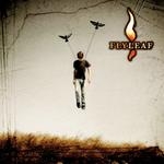 flyleaf
