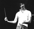 frank zappa image2