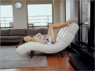 frankee image1