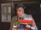 fred gwynne picture1