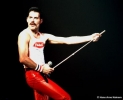 freddie mercury image1