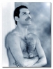 freddie mercury image3