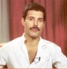 freddie mercury photo2