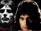 freddie mercury picture1